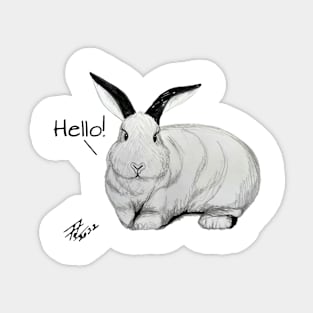 White rabbit - hello Sticker